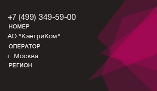 4993495900